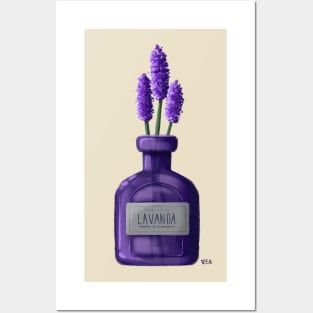 Lavanda Posters and Art